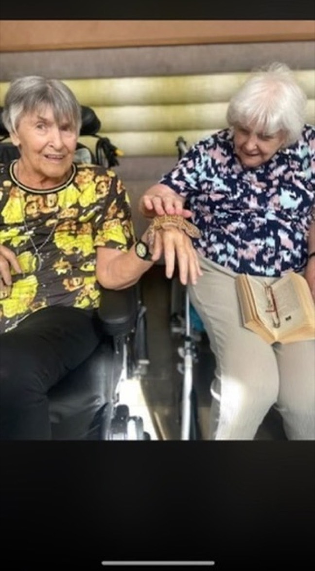 Care-home residents meeting a bearded dragon