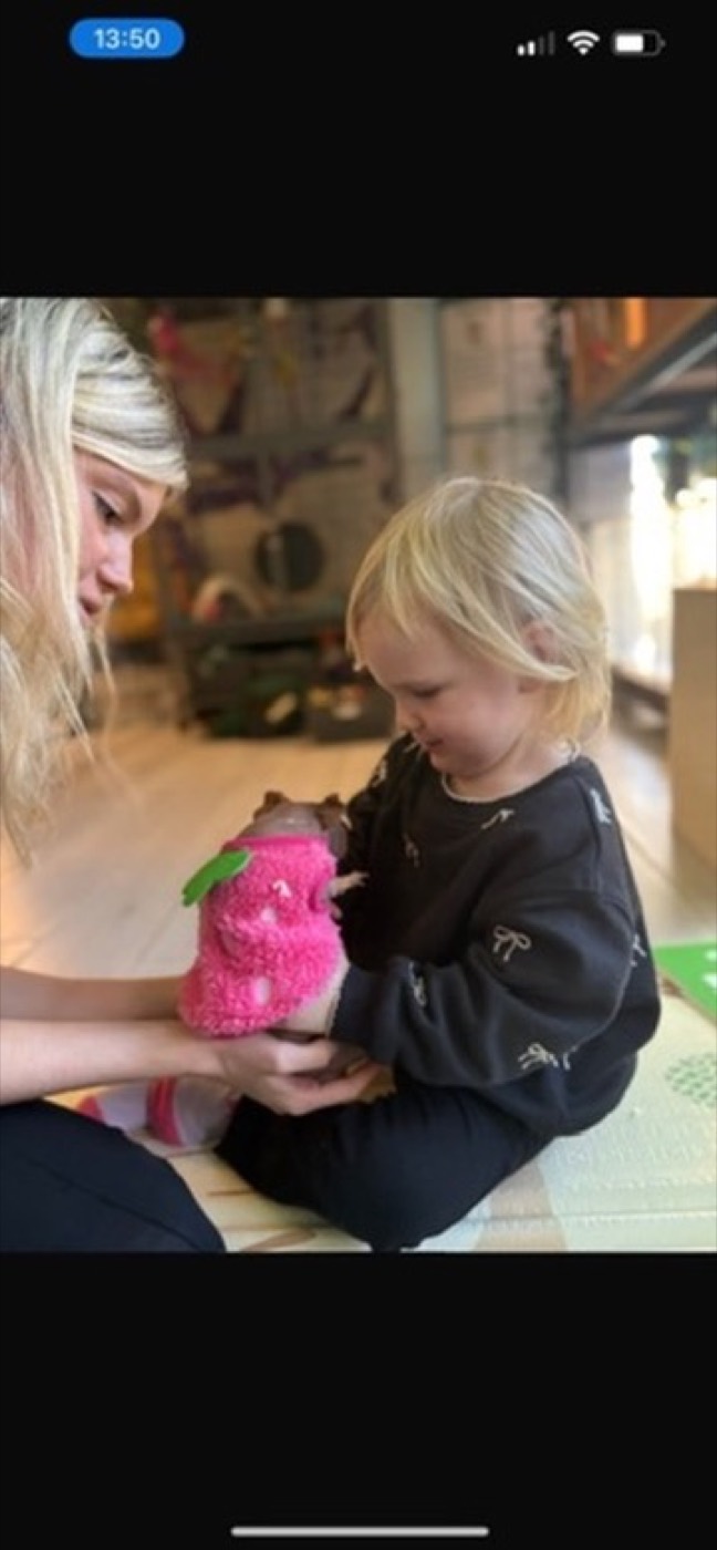 Ciera introducing a hedgehog to a toddler