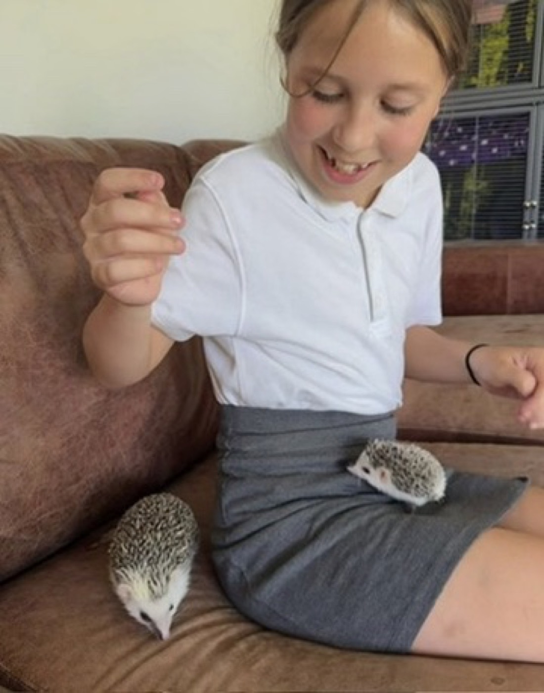 A girl with two hedgehogs